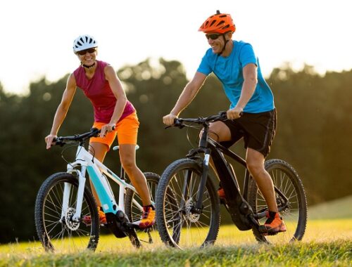 Bicicletta elettrica
