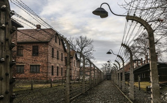 Giornata della Memoria, quando la resilienza è più forte della sofferenza. L'analisi dello Psicologo Elpidio Cecere